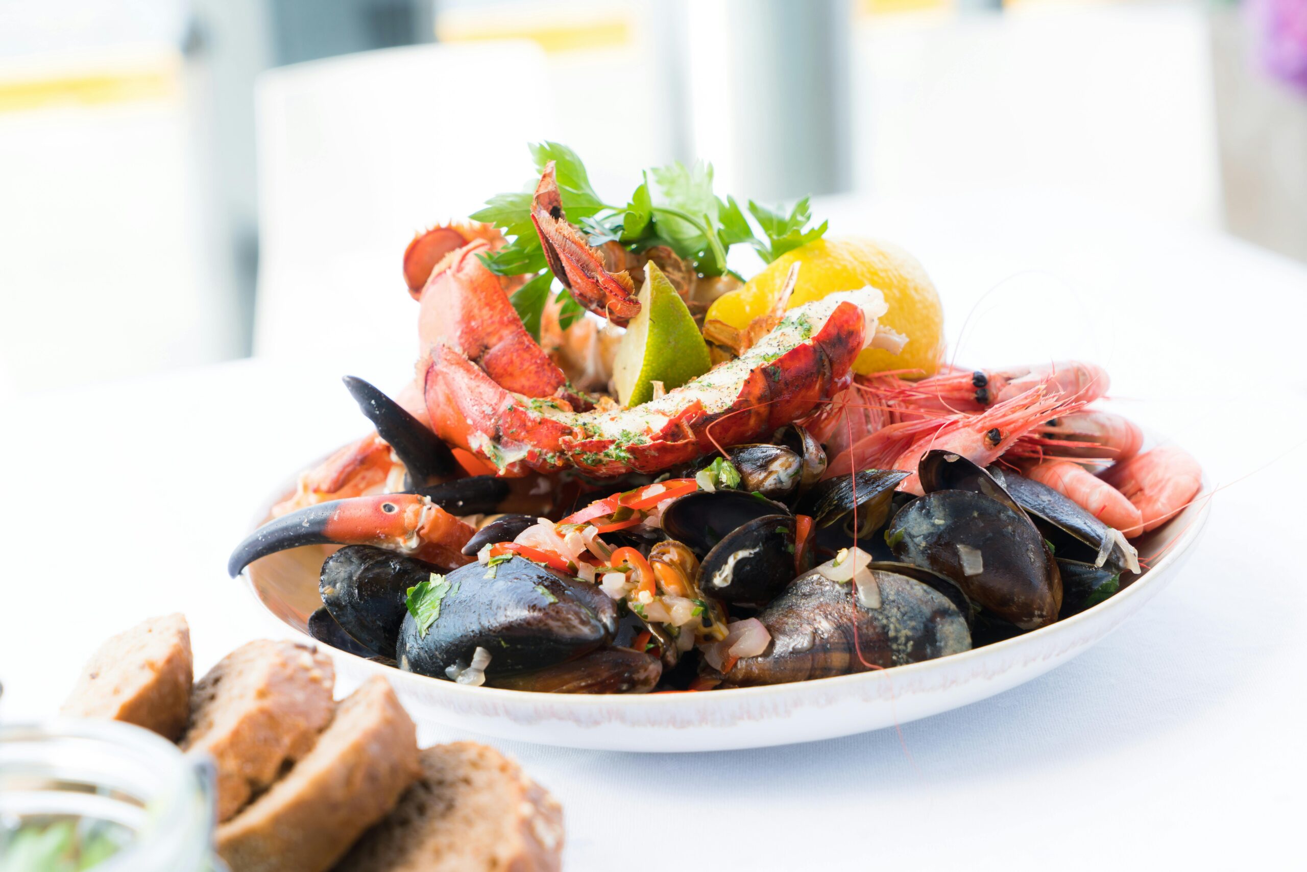 Read more about the article Easy Keto Sardine Recipes for Healthy Meals In 2024